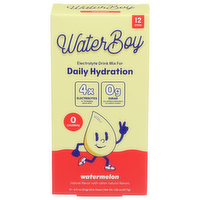 Waterboy Daily Hydration Watermelon - 0.111 Ounce - 12 Count