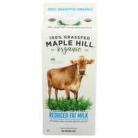 Maple Hill Reduced Fat Milk - Half Gallon