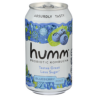 HUMM Blueberry Mint Can Kombucha - 12 Fluid Ounce