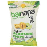 Barnana Organic Plantain Chip Lime - 5 Ounce