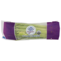 Tanimura & Antle Celery Stalk - 1 Each
