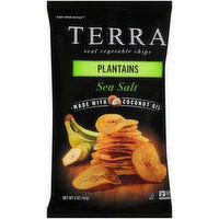 Terra Plantains Real Vegetable Chips - 5 Ounce 