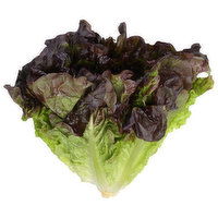 Fresh Leaf Lettuce, Organic, Red - 1 Each 