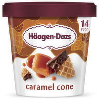 Haagen-Dazs Caramel Cone Ice Cream - 14 Fluid Ounce