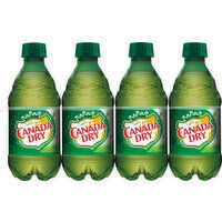 Canada Dry Soda, Ginger Ale - 8 Each 