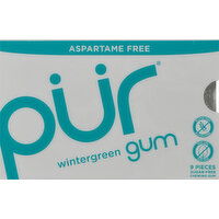 Pur Chewing Gum, Aspartame Free, Wintergreen - 9 Each 