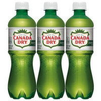 Canada Dry Ginger Ale, Zero Sugar, Caffeine Free - 6 Each 