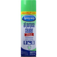 Sprayway All Purpose Cleaner, Clean Fresh Scent - 19 Ounce 