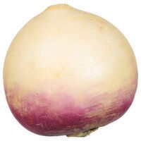 Fresh Turnip