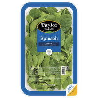 Taylor Farms Spinach - 10 Ounce 