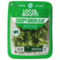 Local Bounti Crispy Green Leaf - 4.5 Ounce 