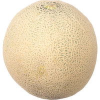 Fresh Cantaloupe - 1 Each 