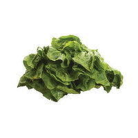 Fresh Organic Lettuce Escarole - 1 Each 