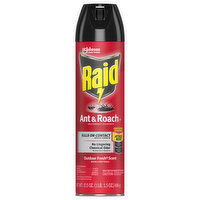 Raid Ant & Roach Killer 26, Outdoor Fresh Scent - 17.5 Ounce 