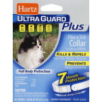 Hartz Flea & Tick Collar, for Cats and Kittens, White, Fresh Scent - 1 Each 