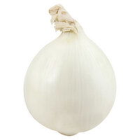 Fresh Onion, White - 1.38 Pound 