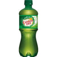 Canada Dry Soda, Ginger Ale - 20 Fluid ounce 