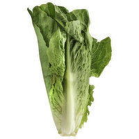 Fresh Lettuce, Romaine - 1 Each 