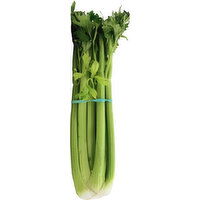 Fresh Celery