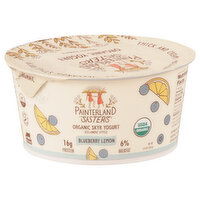 Painterland Sisters Yogurt, Organic, Skyr, Blueberry Lemon, Icelandic Style - 5.3 Ounce