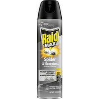 Raid Spider & Scorpion Killer, Indoor - Outdoor - 12 Ounce 