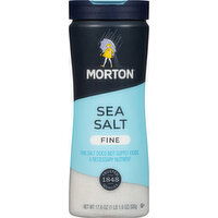 Morton Sea Salt, Fine - 17.6 Ounce 