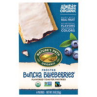 Nature's Path Organic Toaster Pastries, Buncha Blueberries, Frosted - 6 Each 