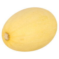 Fresh Squash, Spaghetti - 2.73 Pound 