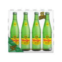 Topo Chico  Mineral Water Twist Of Lime Glass Bottles - 12 Each 