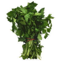 Fresh Parsley