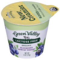 Green Valley Yogurt, Lactose Free, Lowfat, Organic, Blueberry - 6 Ounce 