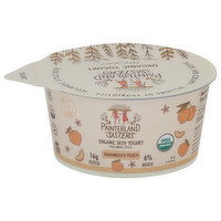 Painterland Sisters Skyr Yogurt, Organic, 6% Milkfat, Icelandic Style, Savannah's Peach - 5.3 Ounce