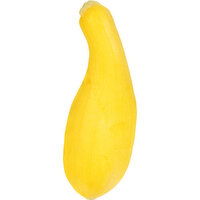 Fresh Squash, Yellow - 1.37 Pound 