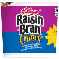 Raisin Bran Cereal - 2.8 Ounce 