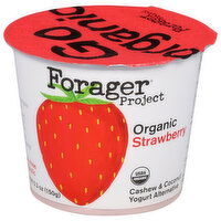 Forager Project Cashew & Coconut Yogurt Alternative, Strawberry, Dairy-Free, Organic, Probiotic