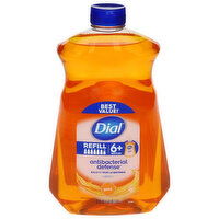 Dial Hand Soap, Antibacterial Defense, Gold