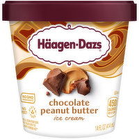 Haagen Dazs Chocolate Peanut Butter Ice Cream - 14 Fluid ounce 