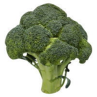 Fresh Broccoli