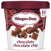 Haagen-Dazs Chocolate Chocolate Chip Ice Cream - 14 Fluid Ounce