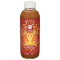 GT's Kombucha, Raw, Living in Gratitude - 16 Fluid ounce 