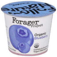 Forager Project Yogurt Alternative, Dairy-Free, Organic, Probiotic, Blueberry, Cashew & Coconut