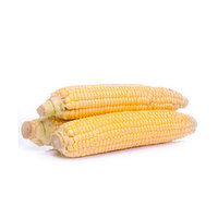 Fresh Sweet Yellow Corn