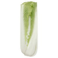 Produce Cabbage, Celery - 1 Each 