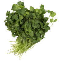 Fresh Cilantro, Organic - 1 Each 