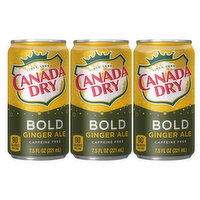 Canada Dry Soda, Ginger Ale, Bold