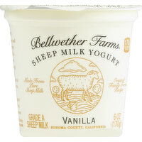 Bellwether Farms Yogurt, Sheep Milk, Vanilla