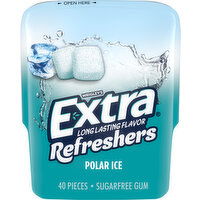 Extra Gum, Sugarfree, Polar Ice - 40 Each 