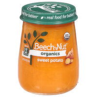 Beech-Nut Sweet Potato, Stage 1 (4 Months+) - 4 Ounce 