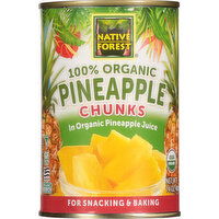 Native Forest Pineapple Chunks, 100% Organic - 14 Ounce 