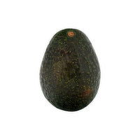 Fresh Avocado, Hass